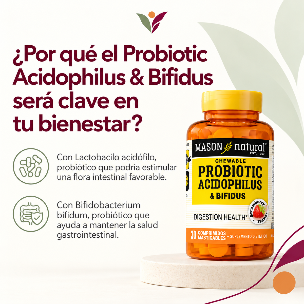 Probioticos